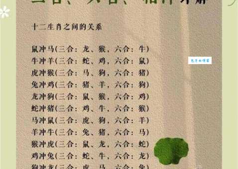 平添四海三江水打一最佳生肖，这个动物竟然和水最有缘分！