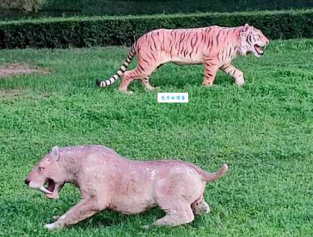 争奇斗艳打一最佳动物？揭晓谜底让你领略自然的色彩