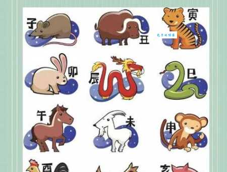 屈指可数打一准确生肖有哪些?这就告诉你正确生肖