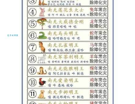 深识远虑打一准确生肖到底指谁？快来看看详细的分析！