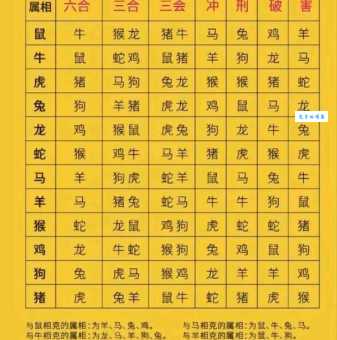 深识远虑打一准确生肖到底指谁？快来看看详细的分析！