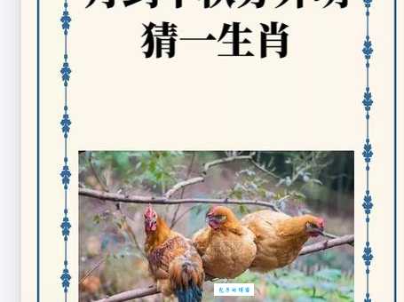 指桑骂槐打一最准生肖是什么生肖？老彩民教你分析方法！