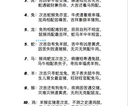 终日不倦是什么生肖?带你深入了解生肖文化的趣味知识!