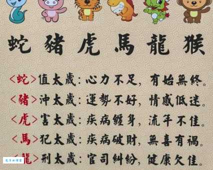 大街拉皮条是什么生肖?看完这个生肖解析你就懂了