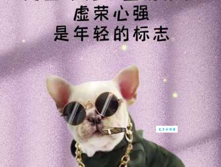 装腔作势耍威风是什么生肖?这几个特征非老虎莫属!