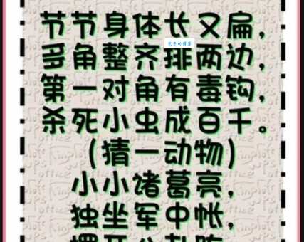 雪高三尺云上天打一准确生肖，简单几步教你解开谜团