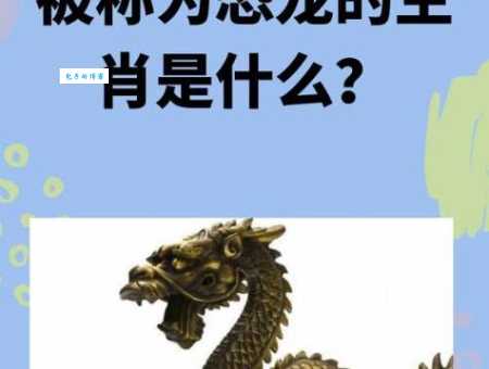 虎口拔牙胆包天是什么生肖？答案原来是这几个动物！