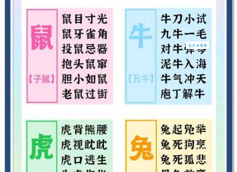 买椟还珠打一正确生肖是什么？这篇文章为你揭晓答案