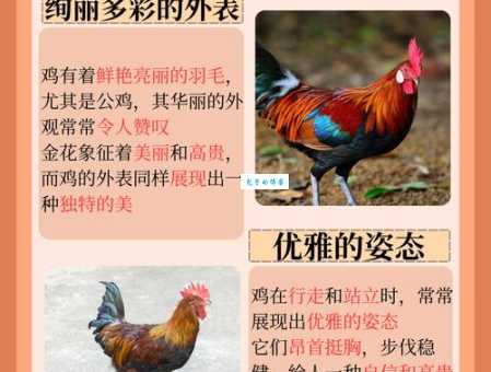 举首翘项伸长舌是什么生肖？看完这个解析你就彻底明白了