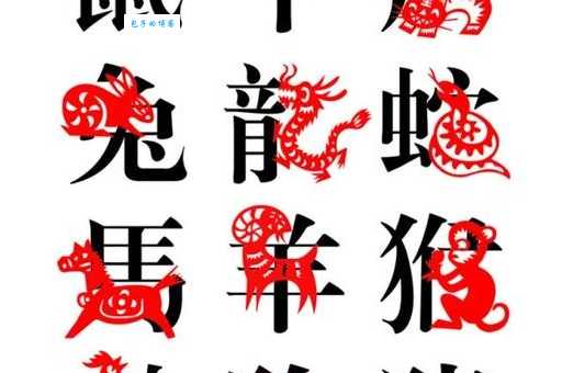 苦苦求衰猜一最佳正确生肖,这种说法到底指的是谁?