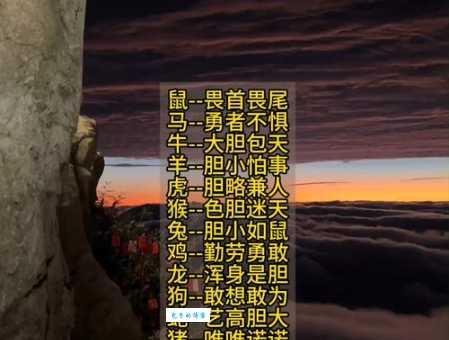 一身是胆三大生肖是谁?带你了解这些生肖的过人胆量!