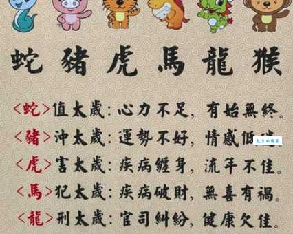 装死卖活代表指什么生肖?深度解析生肖背后的生存智慧