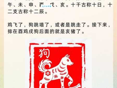 半斤八两是何肖？这几个生肖的可能性其实最高