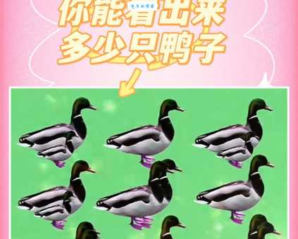 沉鱼落雁打一动物怎么猜？详细答案分析让你长见识