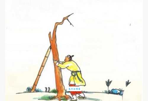 解析软红十丈打一正确生肖，教你如何轻松找出正确答案！