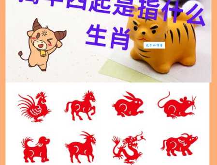 乔装打扮打一准确生肖怎么猜?教你快速找到答案!