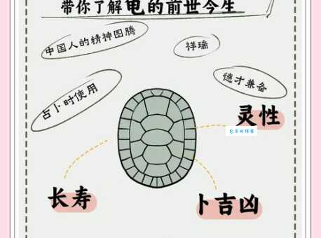苍苔满字土埋龟是什么生肖？这个谜底很多人猜错了！