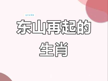 东山再起猜一肖的准确答案，解析这个生肖背后的故事！