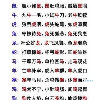 归心似箭打一准确生肖怎么猜？详细解析让你秒懂