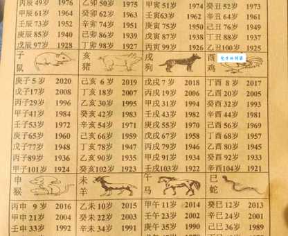 归心似箭打一准确生肖怎么猜？详细解析让你秒懂