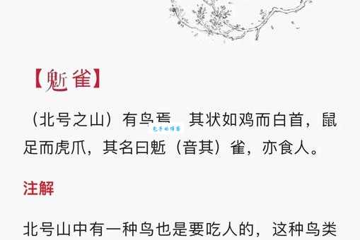 刻鹄不成打一准确动物是什么?答案解析带你了解!