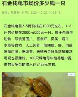 苍苔满字土埋龟是什么生肖？原来这个生肖代表财富与好运