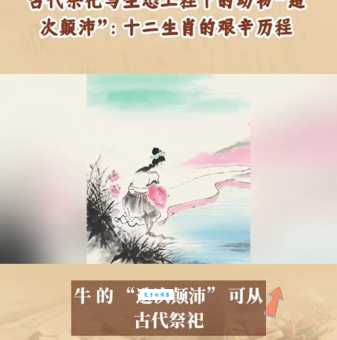 造次颠沛指代表什么生肖？老玩家教你如何快速解开谜底