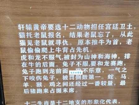 八极之宝乾坤问什么生肖?揭秘生肖背后的文化与奥秘!