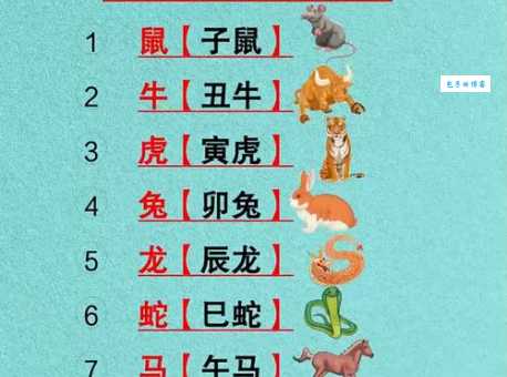 迈四方步最正确生肖有哪些寓意？深度解读十二生肖的走姿