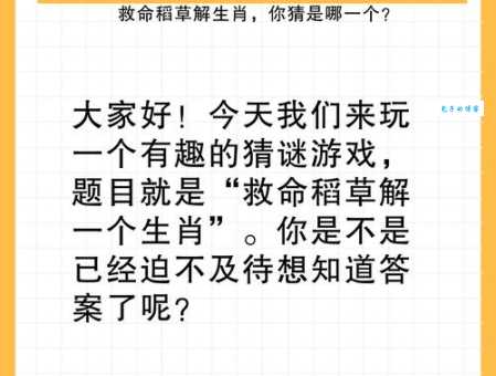一厢情愿打一正确生肖是哪个?看资深玩家如何精准分析 一厢情愿打一正确生肖是哪个?看资深玩家如何精准分析