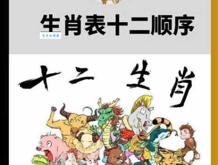 猜猜方寸大乱指什么生肖?带你深入分析生肖走势!
