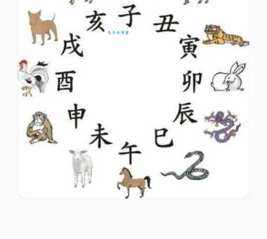 猜猜方寸大乱指什么生肖?带你深入分析生肖走势!