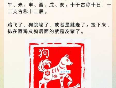 战死沙场准确生肖是什么动物?老玩家分享独家解析思路!