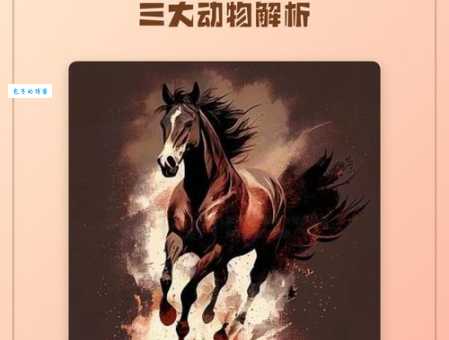 战死沙场准确生肖是什么动物?老玩家分享独家解析思路!