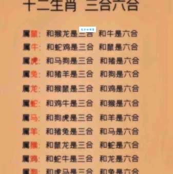 四七相加二四合是什么生肖?为你揭晓正确答案! 四七相加二四合是什么生肖?为你揭晓正确答案!