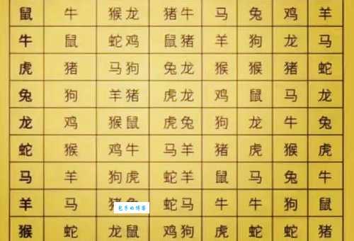 四七相加二四合是什么生肖？为你揭晓正确答案！