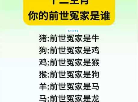 迎刃而解猜生肖指的是谁?看完这篇分析你就明白了!