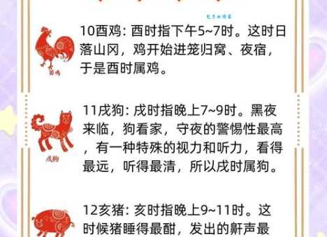 智珠在握是什么生肖?这篇文章帮你快速解开谜底