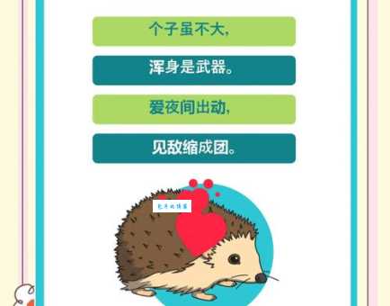 智珠在握是什么生肖?这篇文章帮你快速解开谜底