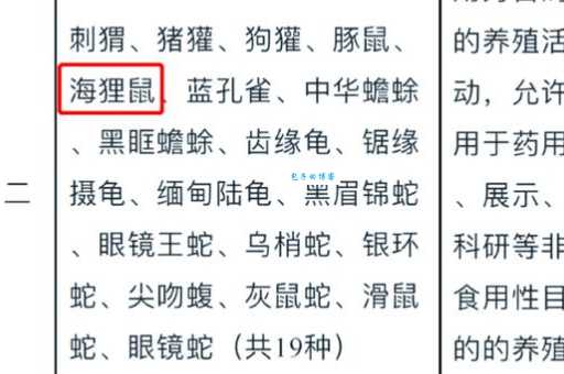 以狸饵鼠打一最佳生肖是哪个动物?老一辈人给出的专业解答!