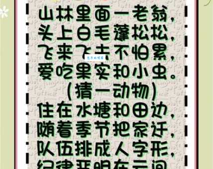 见风是雨打一准确生肖?解析谜底背后的生肖含义