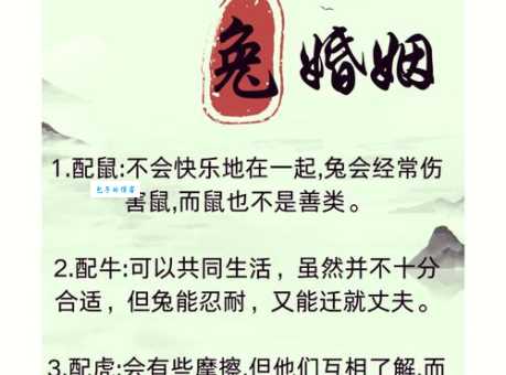 两败俱伤是什么生肖的含义?深度解析生肖间的相互制约