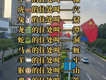 心旷神怡打一正确生肖推荐,带你快速找到正确答案!