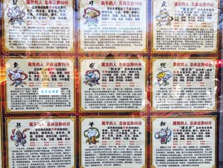 山高水长是什么生肖？老一辈人分享其中的奥秘！