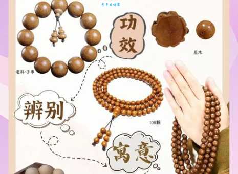 猜一猜老树盘根是什么生肖?深度解析生肖背后的含义