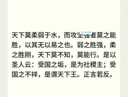 褚小杯大是什么意思？带你深入浅出了解背后的典故！