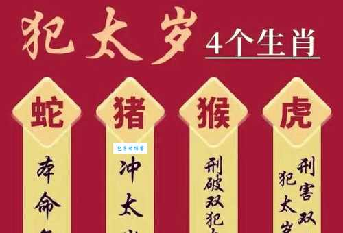 艺高胆大三大生肖有哪些?这几个属相天生有勇有谋!