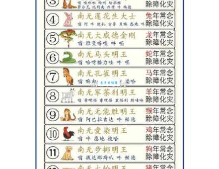 念念不忘是什么生肖？看懂这些解释你就全明白了！