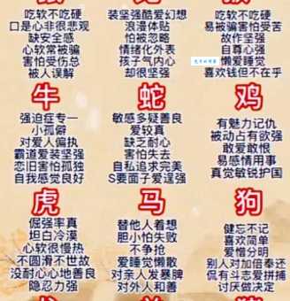 见风是雨代表什么生肖?这几个生肖性格最符合描述