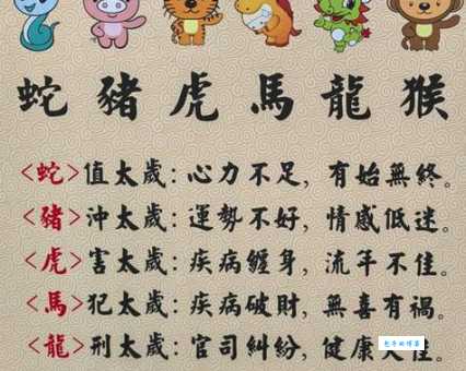骊龙颌取明珠打一生肖动物?深度解读谜语答案原来是它!